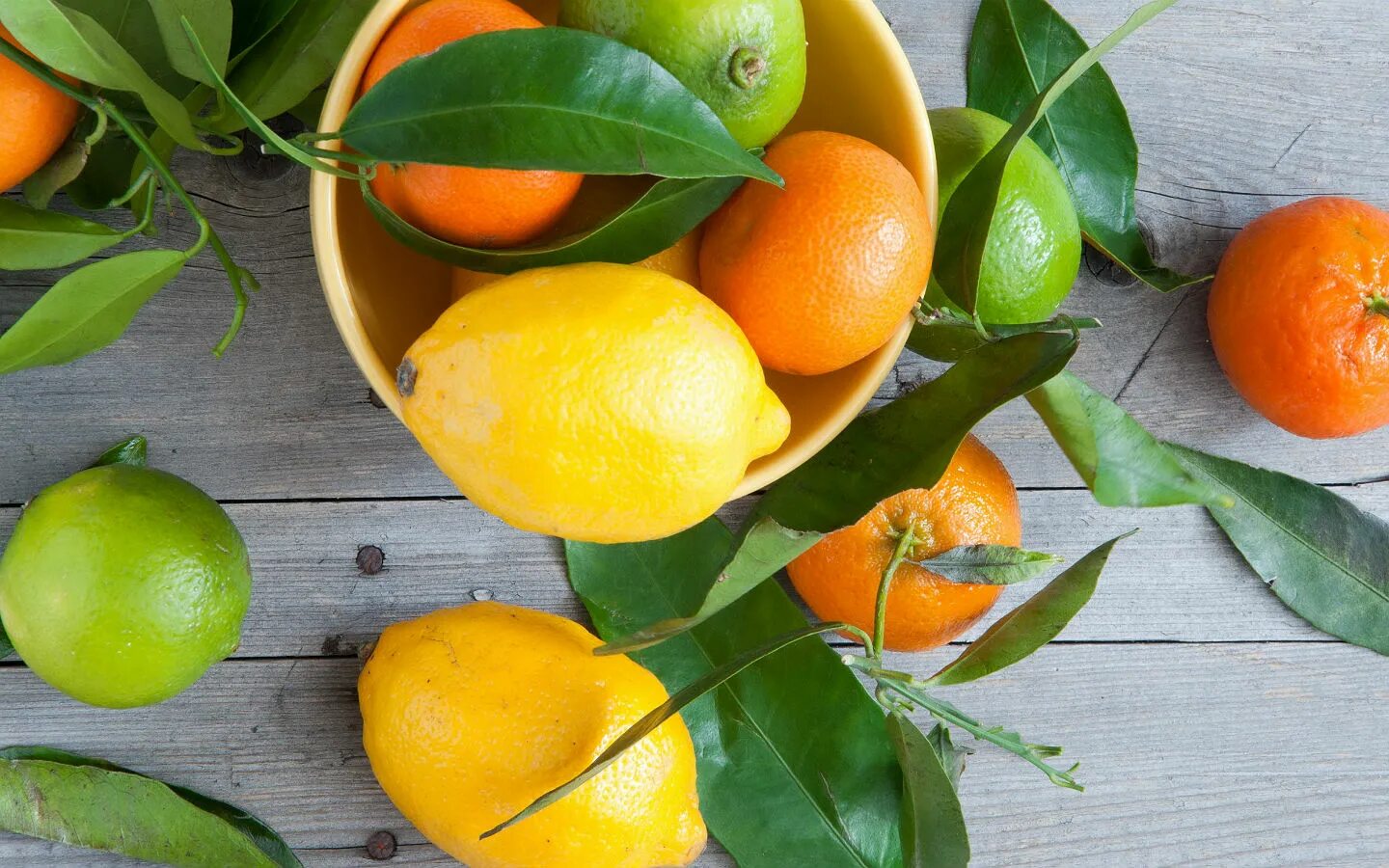 Фруктово цитрусовый. Цитрус мандарин +апельсин. Померанца и цитрона. Цитрон цитрусовые. Лимон Citrus Limon.