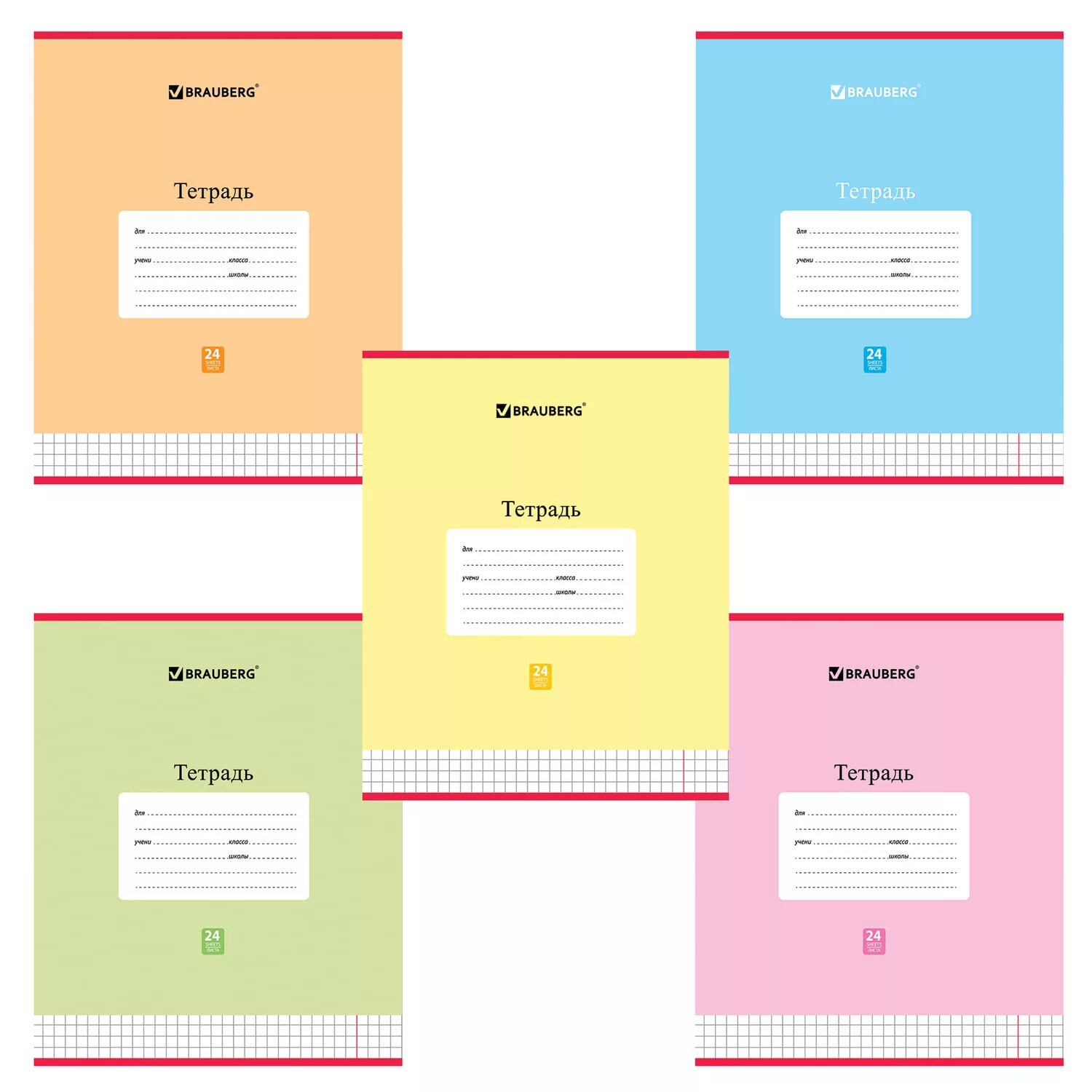 Тетрадь БРАУБЕРГ 18 листов. Тетрадь БРАУБЕРГ 18 листов в клетку. БРАУБЕРГ 24 листа. Тетрадь Школьная 24 листа клетка.