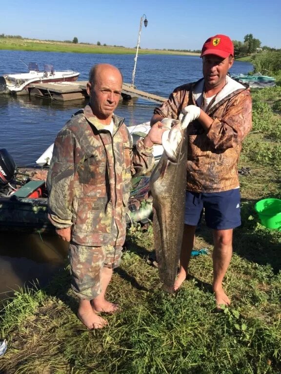 Золотая дельта рыболовная база астраханская область. Ахтубинск река герасимовка. База золотая дельта на герасимовке. Gold delta. Астрахань рыбалка базы.