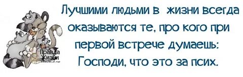 Правда жизни рассказы