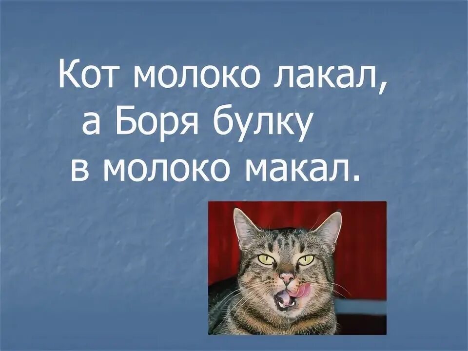 Скороговорки про котов. Скороговорка про кота Ваську. Кот молоко лакал а Боря булку в молоко макал. Скороговорка про кота и собаку 1 класс.