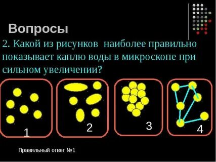 Внутреннее веществ