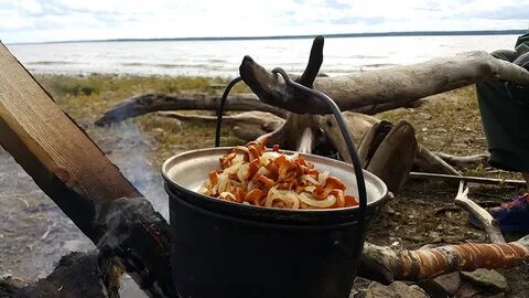 Рыбинск с палатками