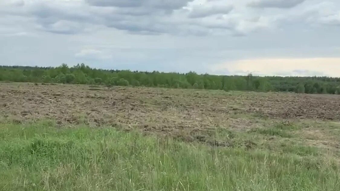 Арендатор владел 867 га земли. Лисьи норы луховицкий район. Участок земли гектар. Арендатор владел 867 га земли. Арендатор владел 867 790 га земли записать словами.