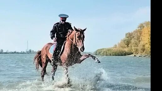Ноты казачьих песен. Над рекой едут едут казаки. Ехали казаки картинка. Песня ехали казаки со службы домой. Ноты казаки казаки едут.