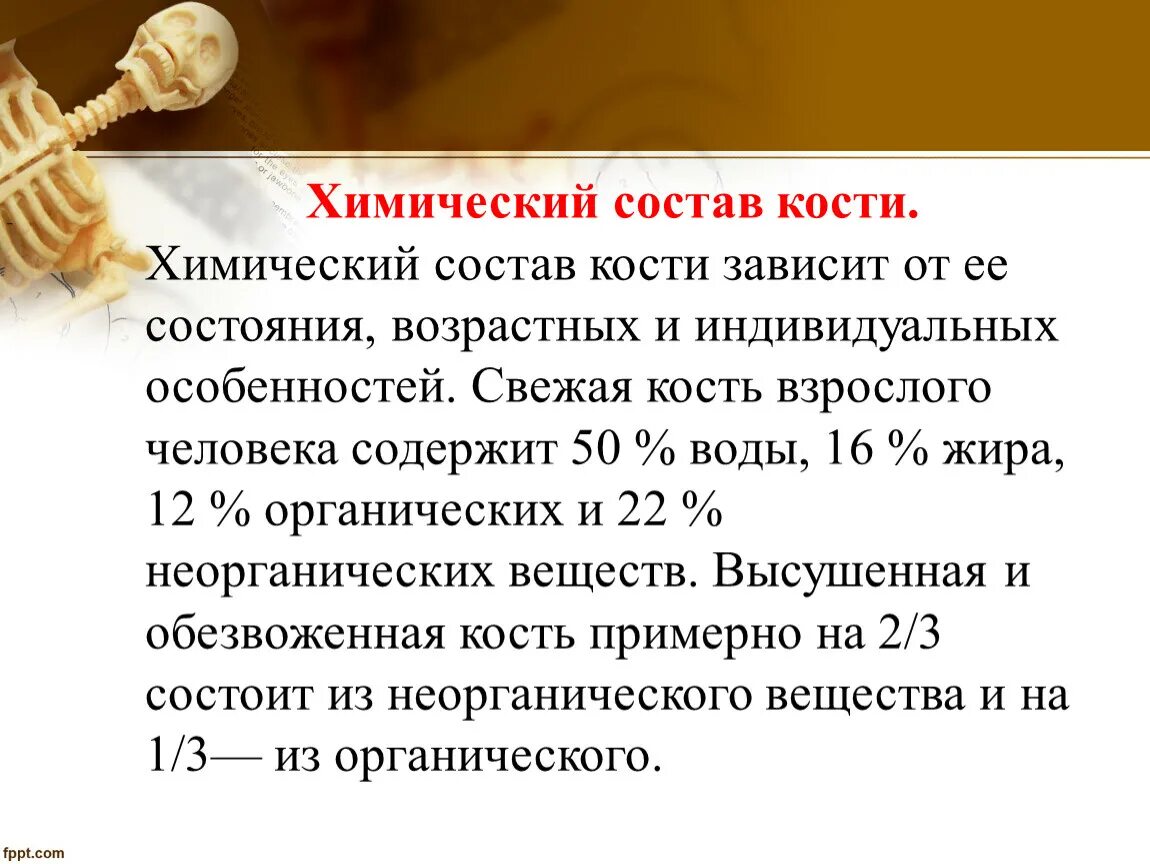 Химический состав кости. Химический состав костей человека. Органические и неорганические вещества кости. Органические вещества в кости человека. Химические свойства костей человека