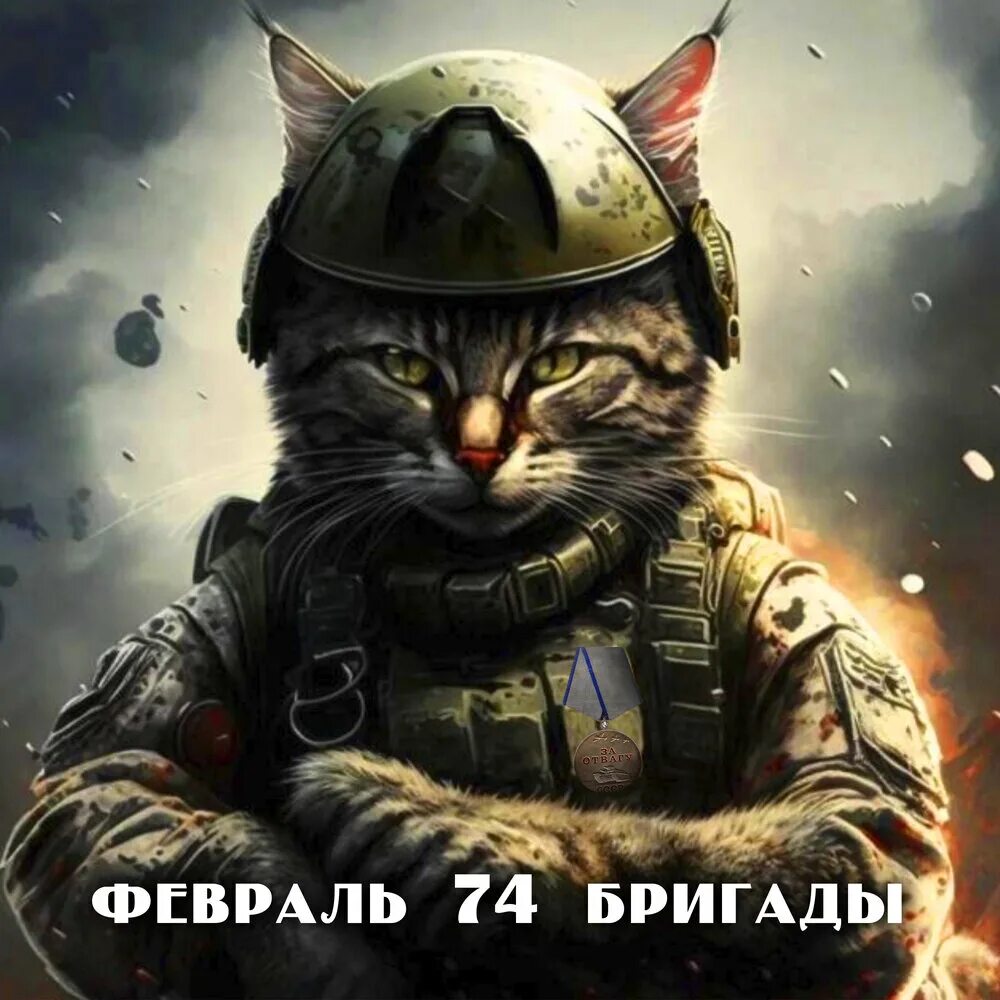 Коты иг. Кот спецназовец. боевой кот. коты в форме спецназа.