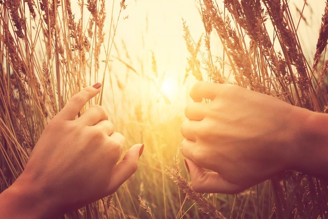 Люди ищут счастья. Солнце в руках. Солнце на ладони. Рука в руке. Счастье в руках.