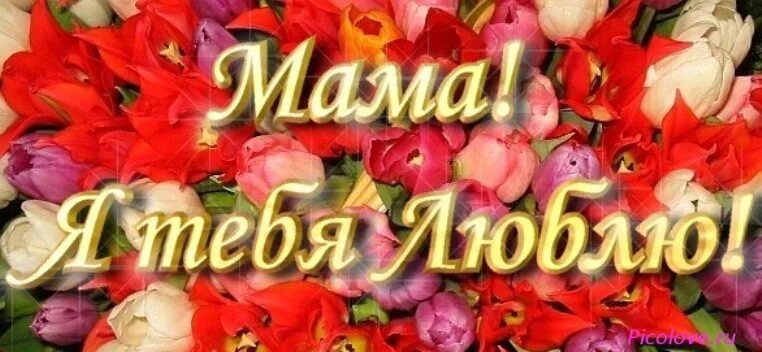 Родной маме внутрь. Мама, я тебя люблю!. Мама я тебя люблю картинки. Надпись мама я тебя люблю. Открытка мамочка я тебя люблю.