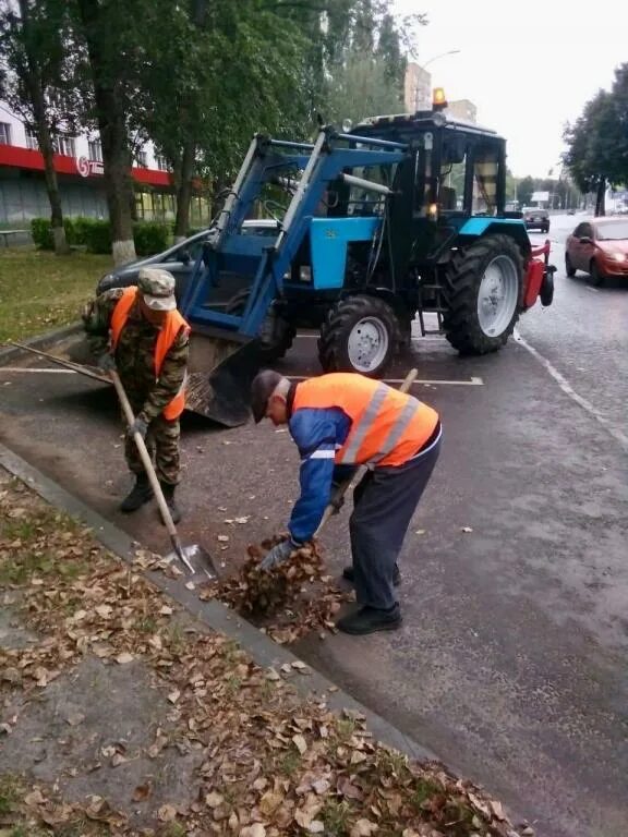 Работа дорожно коммунальное работа