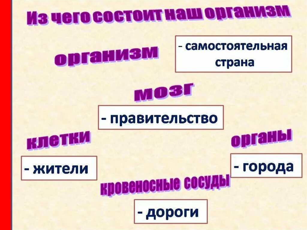 Самостоятельный организм. Организм как страна. организм самостоятельные синтезичесуте. система органов самостоятельная.