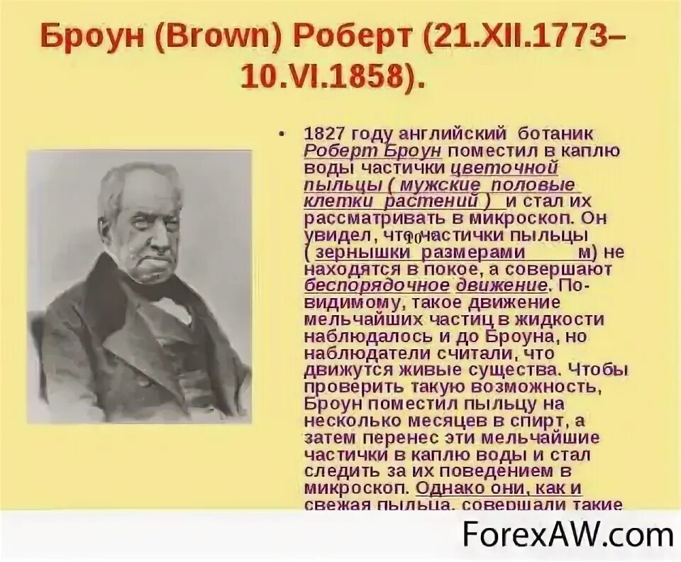 Броун рассматривал под микроскопом. Броун рассматривал под микроскопом