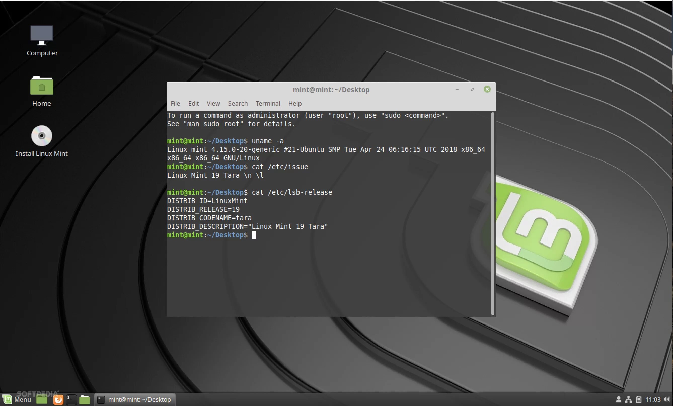 Образ установленного линукс. Linux mint 19.1. linux mint терминал. интерфейс линукс минт. linux mint интерфейс.