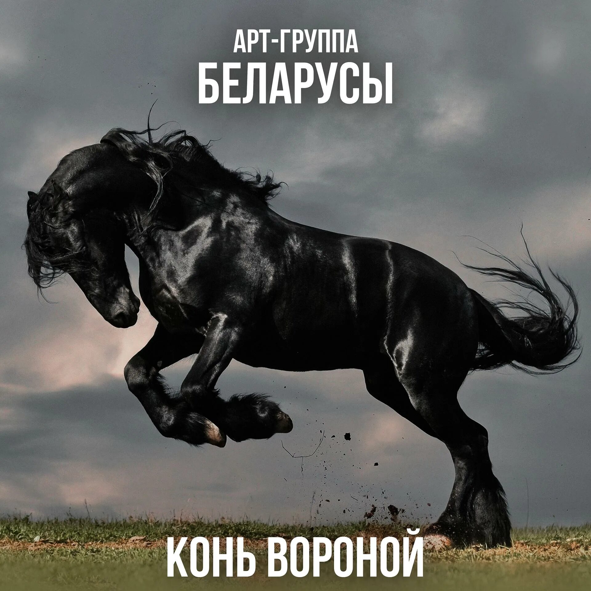 Поет песню конь вороной. Конь мой вороной. конь мой вороной слова. конь мой вороной песня. стихи про вороного коня.