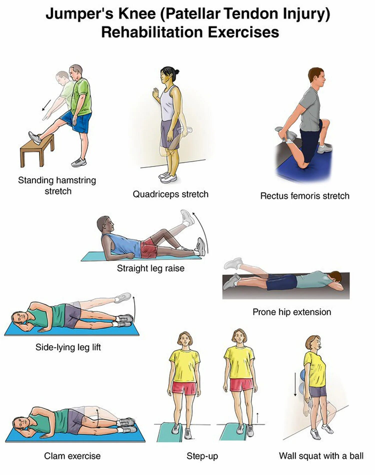 Injuries exercises. Hamstring exercises. лфк при латеральном эпикондилите. knee exercises. rehabilitation exercises.