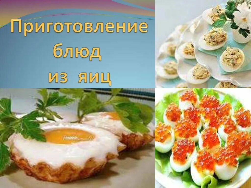 Приготовление блюд из яиц. Тема блюда из яиц. Блюда из яиц и яичных продуктов. Блюда из яиц и их названия.