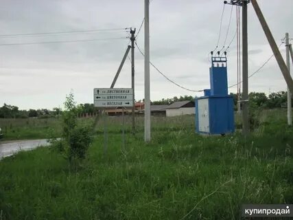 Медведево орел