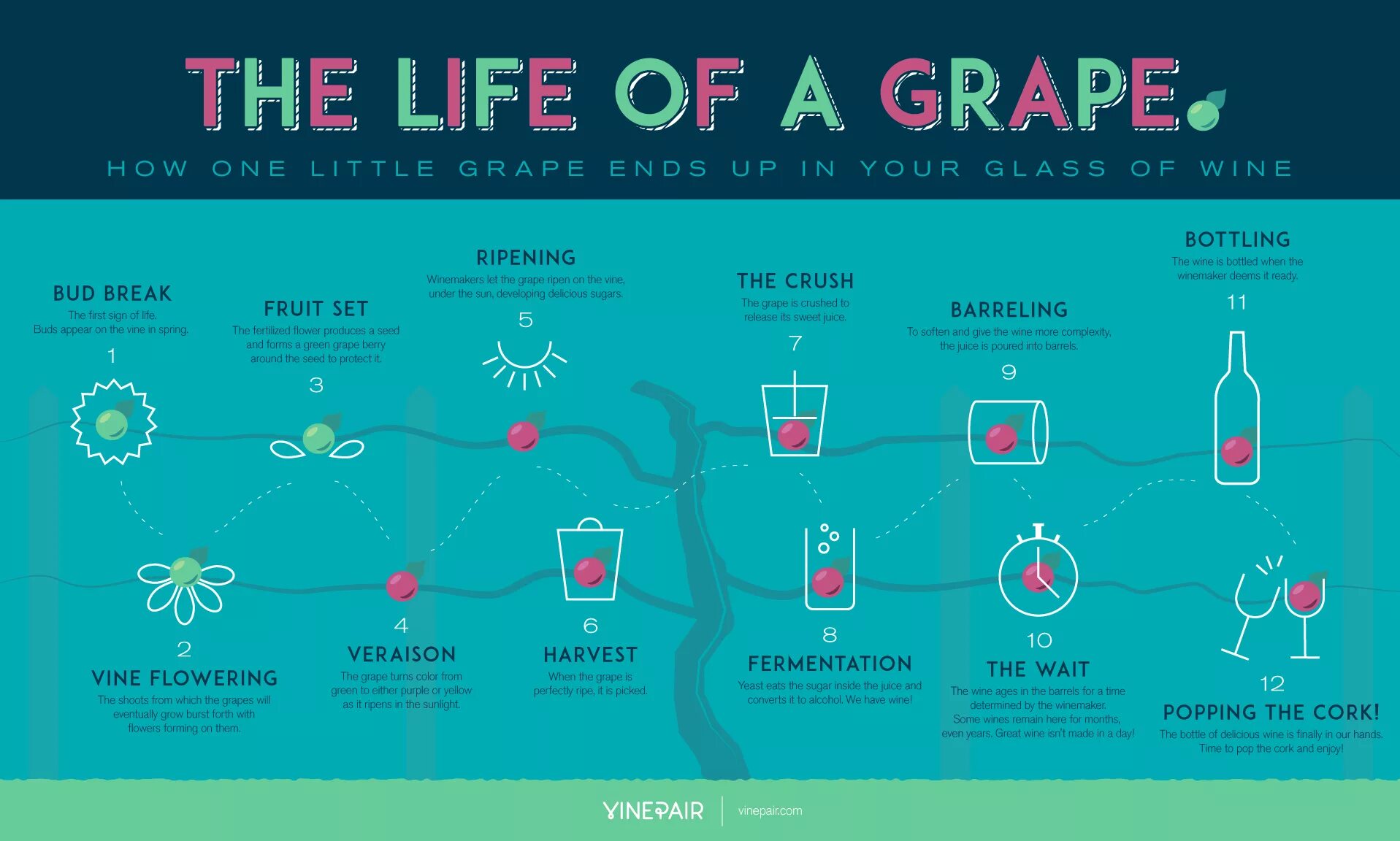 Трафик вин. Инфографика вина. Инфографика вино. Винодельня инфографика. Виноделие инфографика.