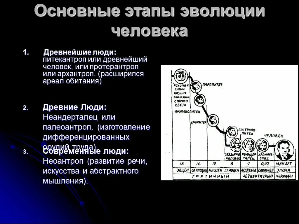 Этапы развития человека 9 класс. Основные этапы эволюции человека. Основные стадии эволюции человека. Ключевые стадии в эволюции человека. Этапы эволюции человека таблица.