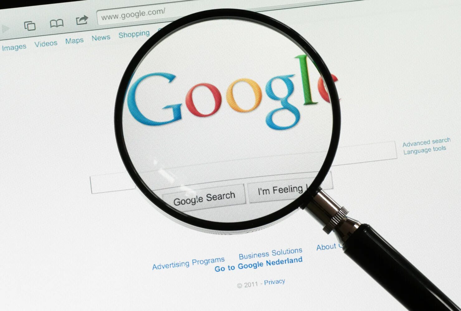 Гугл search. Гугл search