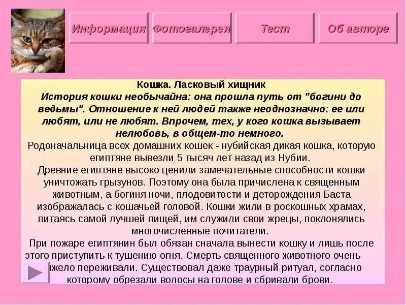 История кошек. Рассказ о своей домашней кошке. Кошка кратко. Моя кошка история. Рассказ о девочки с кошкой.