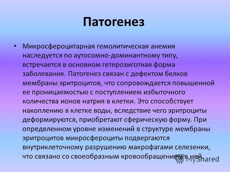 Талассемия патофизиология. Анализ крови при гемолитической анемии. Мишеневидные клетки анемия. Гетерозиготная анемия. Болезнь крови талассемия.