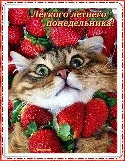 Картинка доброго понедельника анимация