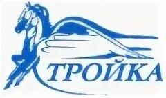 Тройка дв режим работы