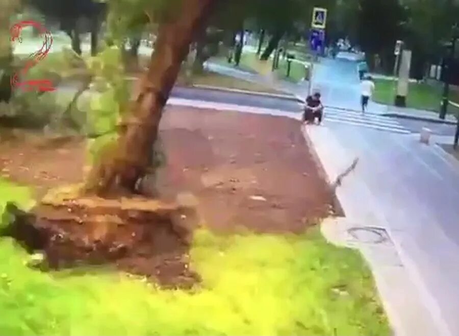 Ураган в москве 1998. Ураган в москве 5 июля 2024. Ураган в москве 5 июля 2024. 19 12 2022 лен обл обрушилась стихия. Ураган в москве (2017).