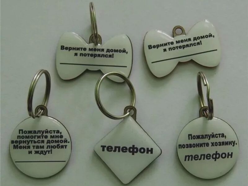 кот ученый. позвони владельцу. смешные адресники для собак. позвони владельцу. звонок с домашнего на мобильный.