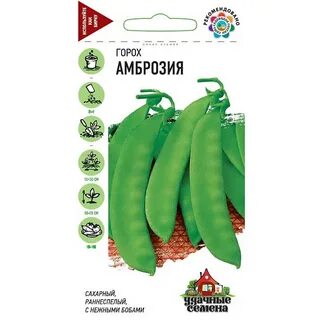Горох сорт амброзия отзывы
