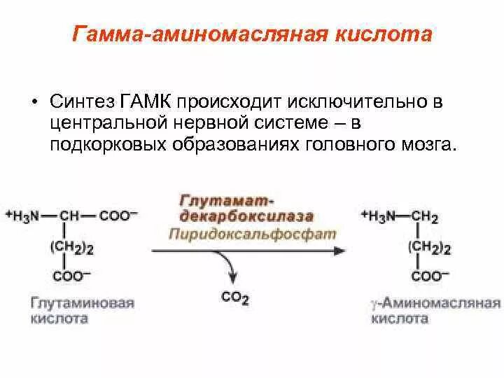 Получение гамма аминокислот. Синтез глутаминовой кислоты. Синтез гамма аминокислот. Гамма-аминомасляная кислота Синтез.