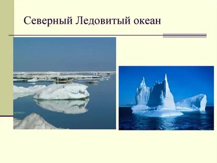 Северный ледовитый океан 7 класс