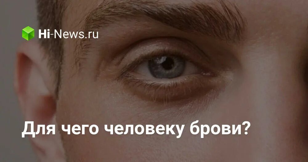 Какую функцию выполняют брови. Для чего человеку брови. для чего нужны брови человеку.