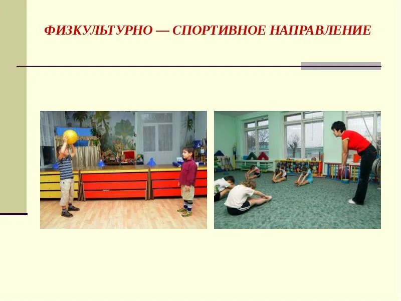 Физкультурно спортивное направление. Физкультурно-оздоровительное направление. Физкультурно-спортивная направленность. Спортивное направление физической культуры. Спортивные направления