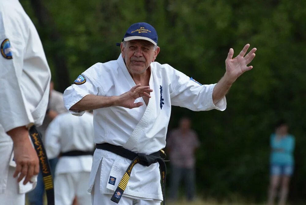 Техника на 10 кю киокушинкай каратэ. Каратэ 10. Стив арнейл каратэ кекусинкай. Каратэ 10. Удары на 10 кю в каратэ киокушинкай.