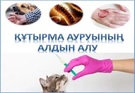 Порно көрші семіз көршісін трахает