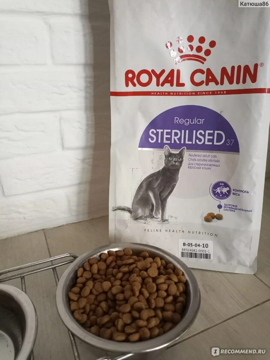 Royal canin для кошек sterilised 37. Корм Royal Canin Sterilised 37. Royal Canin корм Royal Canin Sterilised 37. Корм для кошек Royal Canin Regular Sterilised 37. Роял Канин регуляр стерилизед для кошек.