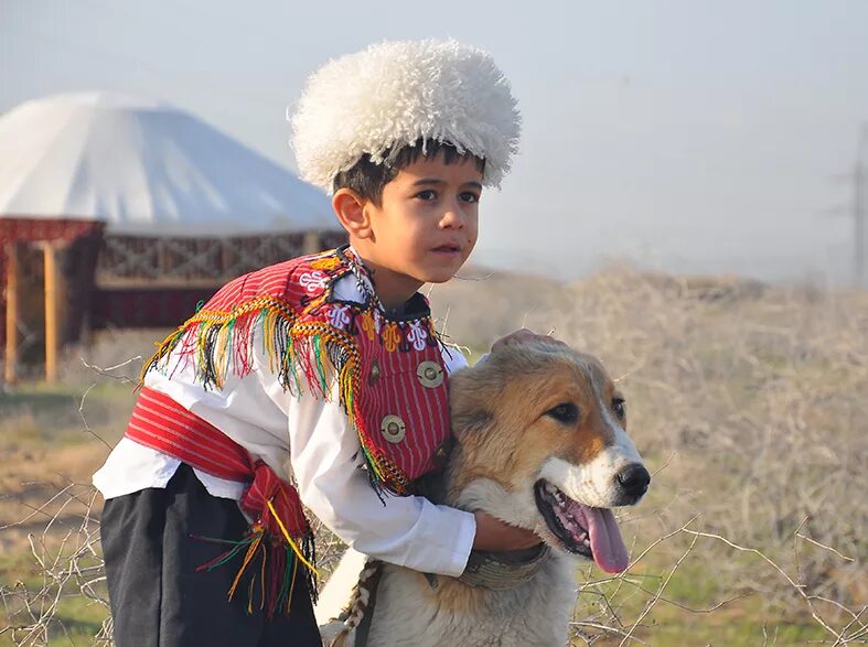 Туркменский алабай. Туркменистан алабай. Туркмены Йомуды. Собака туркменский алабай.