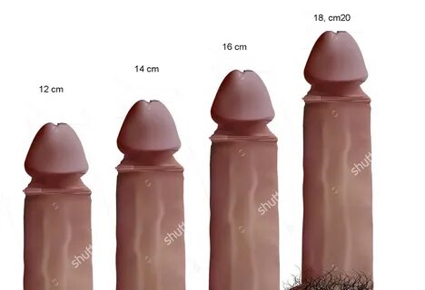 16 cm penis sorted by. relevance. 