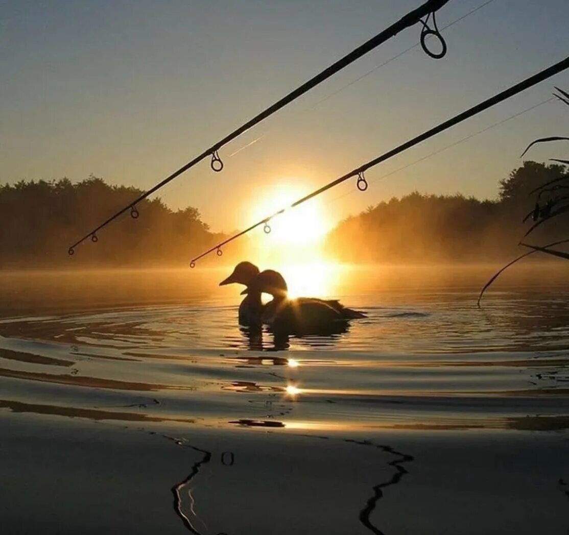 Красивая ловля. Природа рыбалка. Красивая рыбалка. Утро на рыбалке. Красивая природа рыбалка.