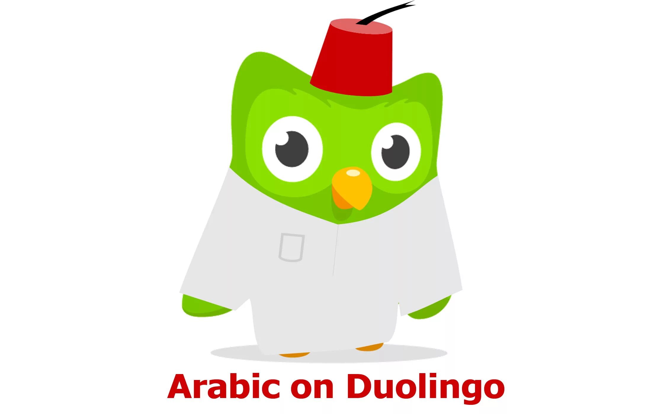 Страшный дуолинго. Дуолинго. Duolingo Сова. Duolingo персонажи. Совенок из Дуолинго.