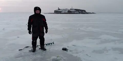 Залит 2021