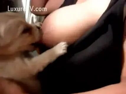 https avatars mds yandex net i id 53314401f73a48  