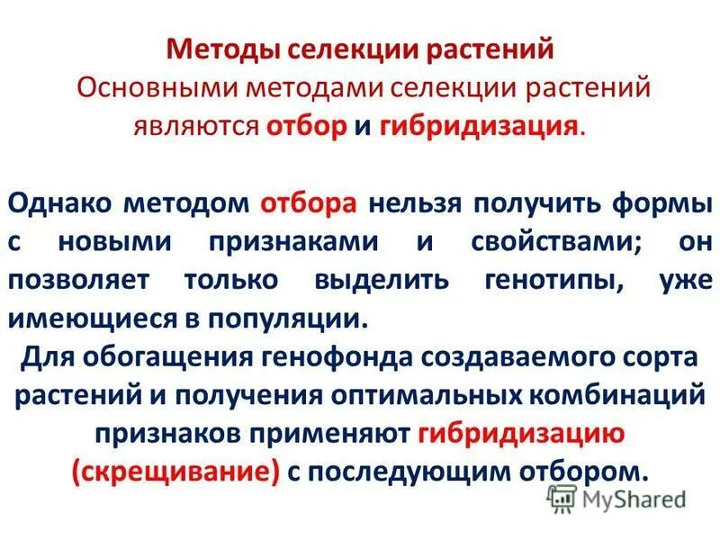 основными методами селекции являются отбор и