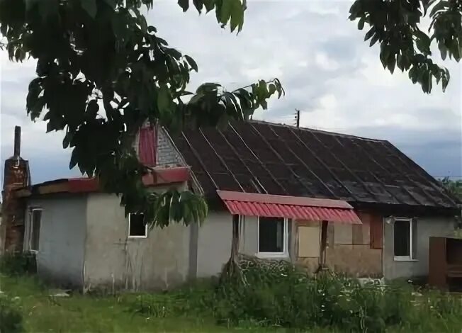 Погода сосновка калининградская область