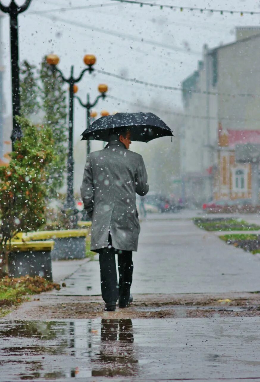 Шли несмотря на погоду. Осенний дождь. Осенний ливень. Дождливая осень. Осень дождь.