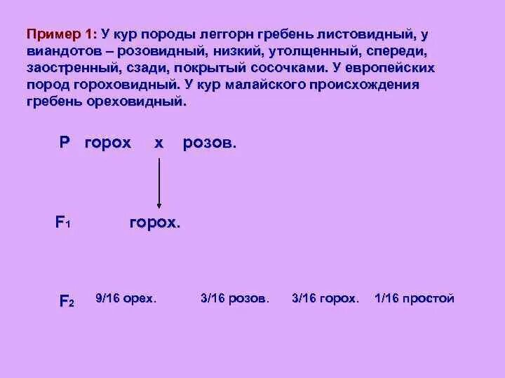 Доминантные признаки у кур. У кур розовидный гребень определяется доминантным геном. У кур розовидный гребень определяется геном r листовидный r. Листовидный гребень у кур. Эпистаз пример у кур.