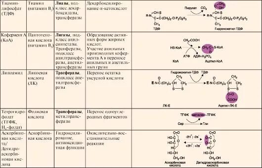 Функции ферментов таблица. Витамины коферменты биохимия таблица. Структура кофермента витамина а биохимия. Коферменты витаминов в2 в5. Функции коферментов биохимия.