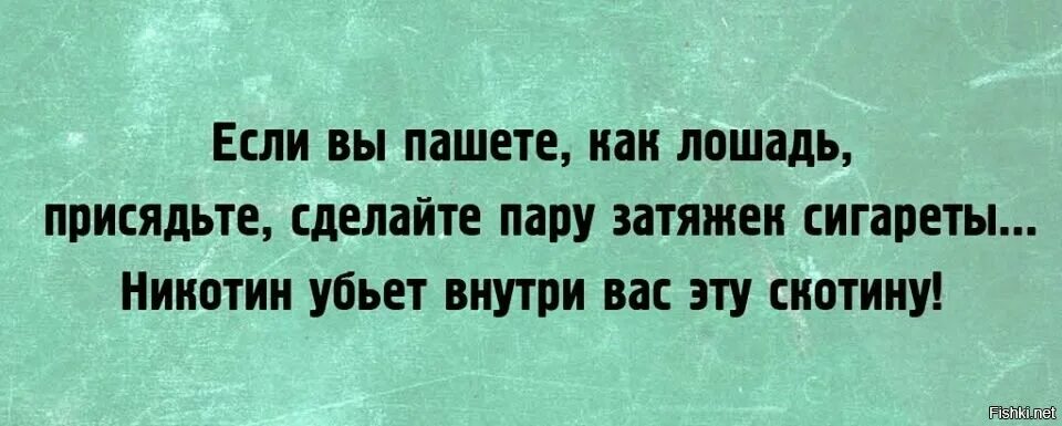 Когда на меня нападает желание работать. Если вы пашите как лошадь присядьте. Работун напал картинки прикольные. Когда напал работун. Дайте посмеяться битва за время